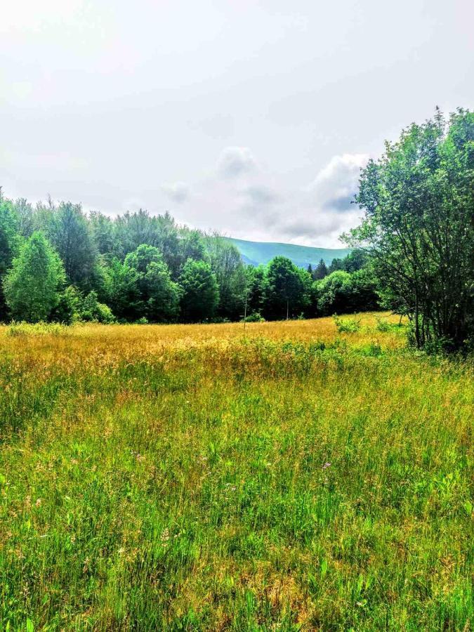 Котедж "Магур" Bukovets エクステリア 写真