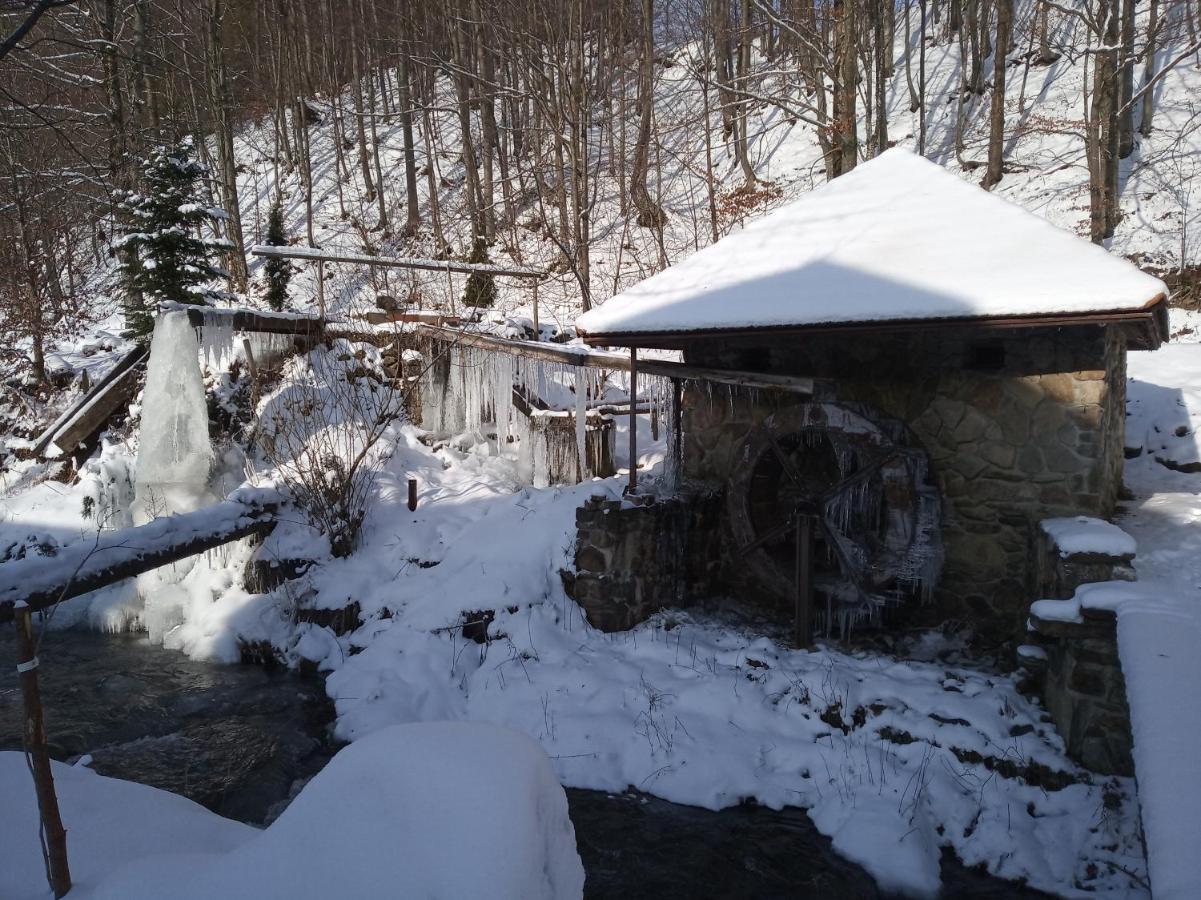 Котедж "Магур" Bukovets エクステリア 写真