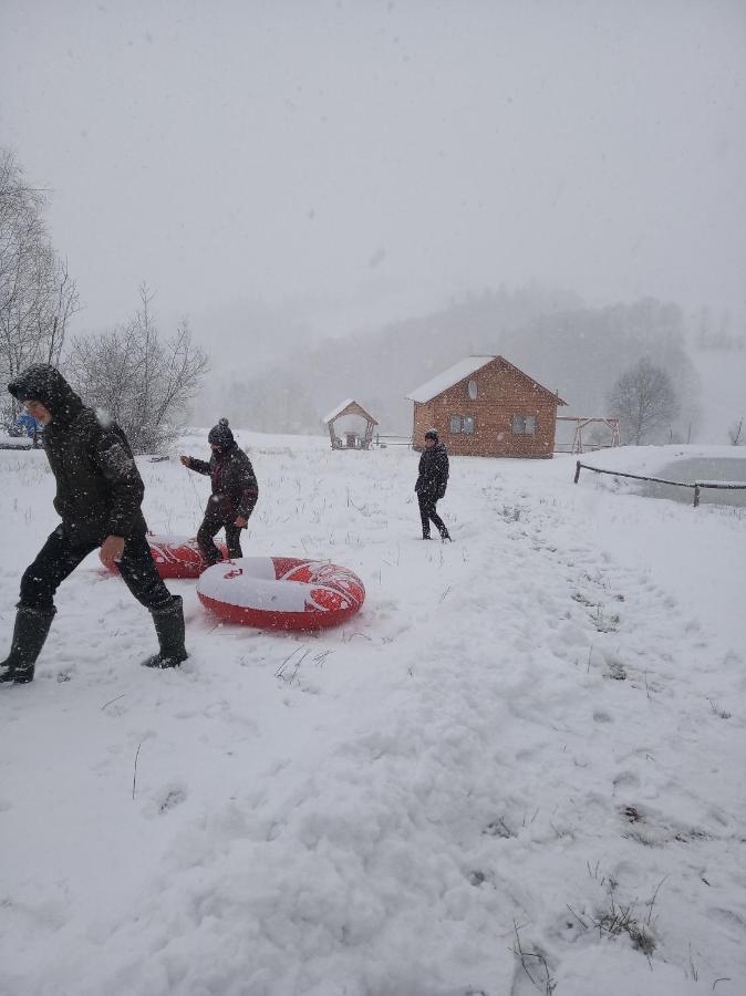 Котедж "Магур" Bukovets エクステリア 写真