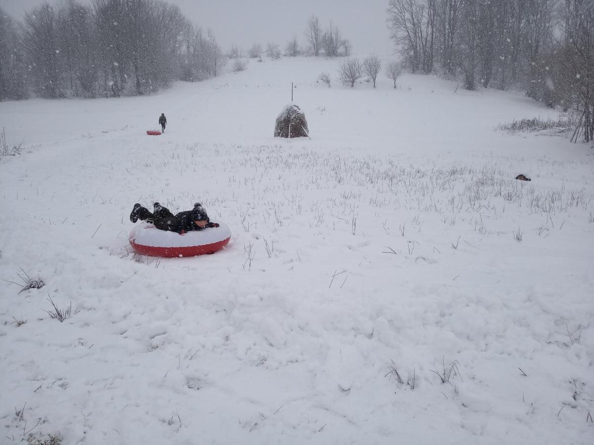 Котедж "Магур" Bukovets エクステリア 写真